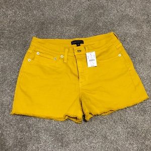 Size 28 shorts